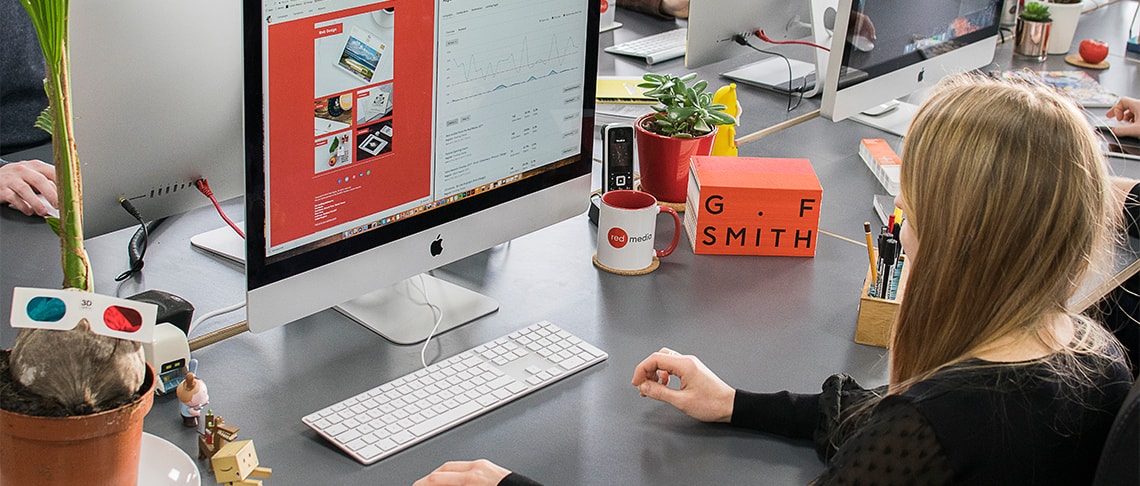 Whitespacepw digital marketing assistant working at an email marketing campaign