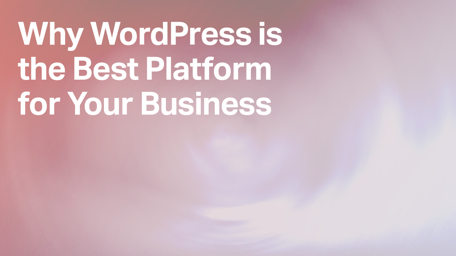 Why WordPress is the Best Platform for Your Business